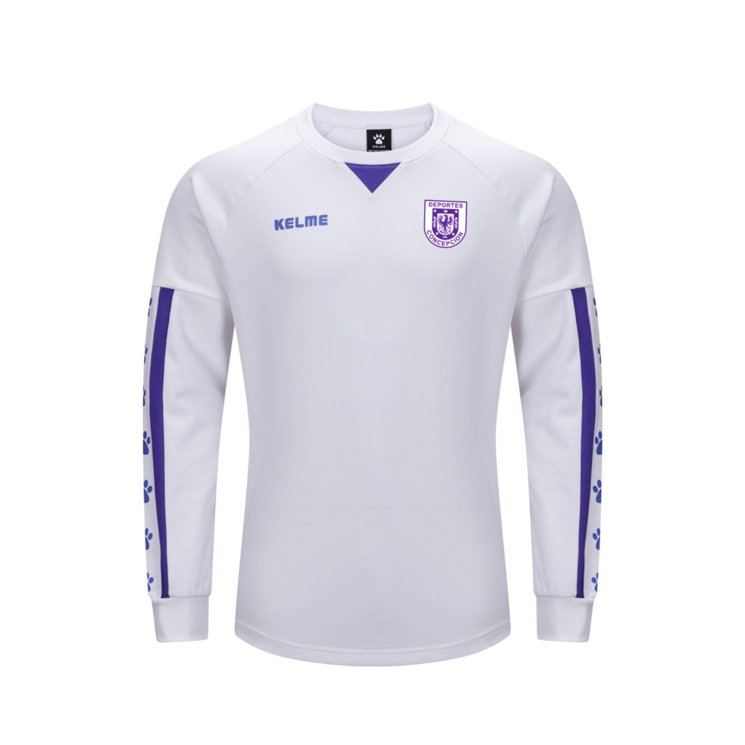 Polerón Colección Retro Deportes Concepción