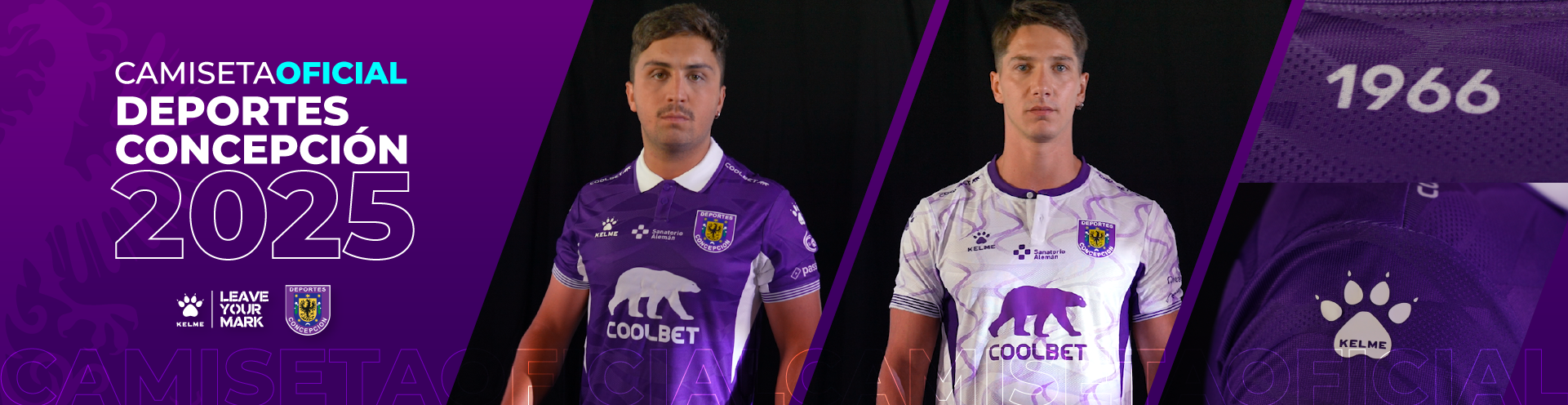 LIQUI50Mesa de trabajo 31 copia 4