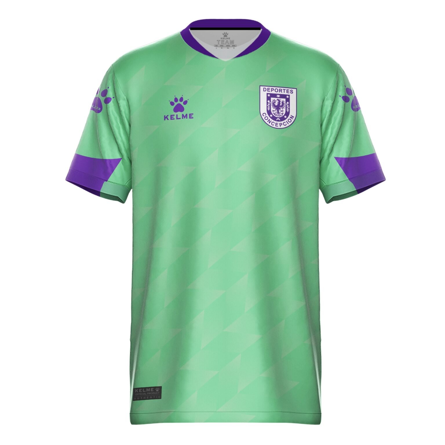 Camiseta Oficial Arquero Deportes Concepción Temporada 2024 (2)