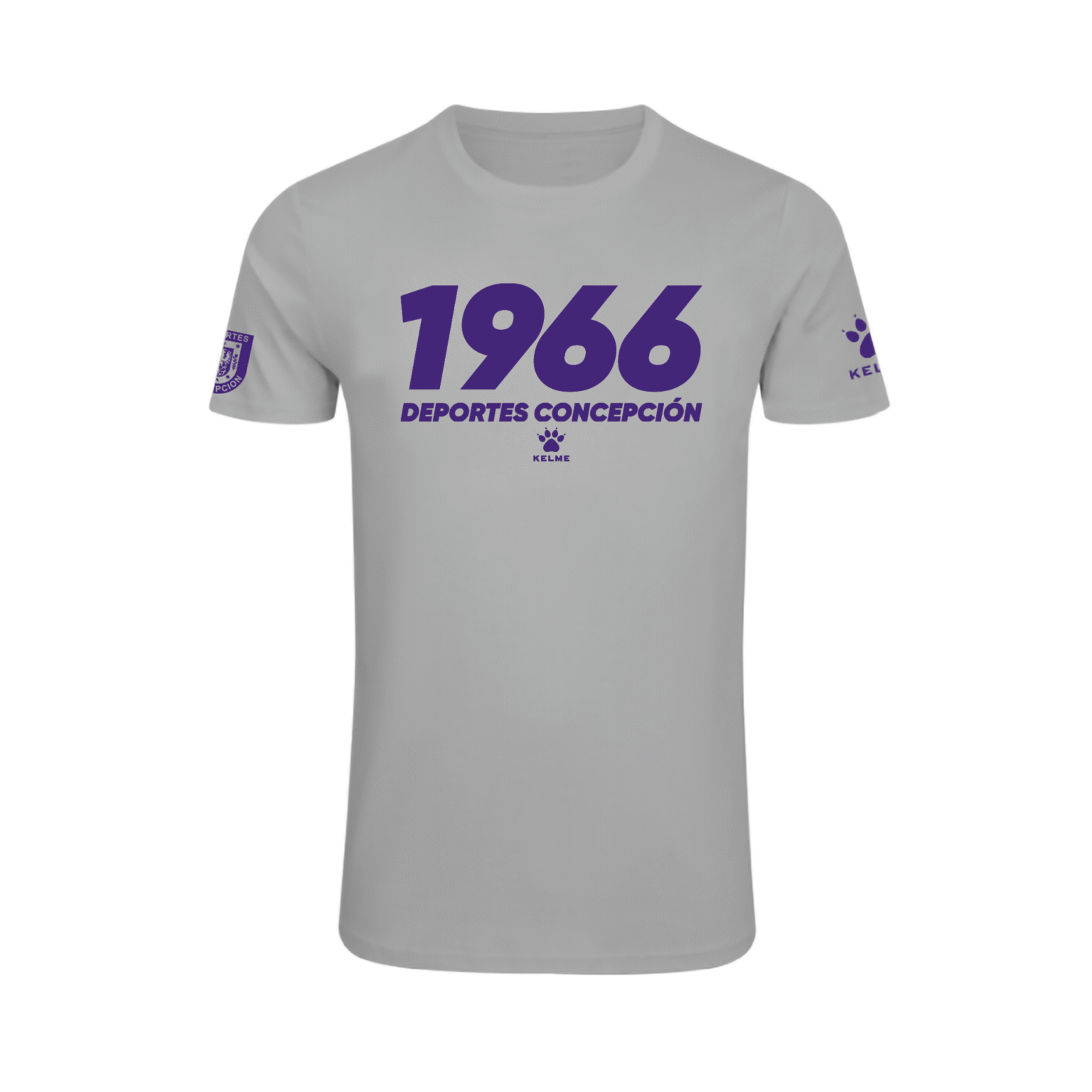 Polera Legado 1966 Deportes Concepción 2026 Gris